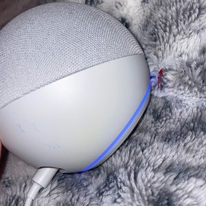 ECHO DOT